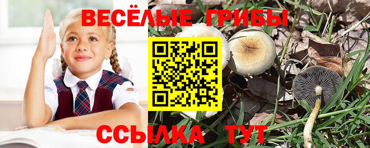 Меф МЯУ МЯУ  Cocaine  ГАШИШ  Бошки Шишки  Ленинск-Кузнецкий  ЭКСТАЗИ  Меф МЯУ МЯУ кристаллы  Вход с VPN  Купить наркотики цена  МЕТ 