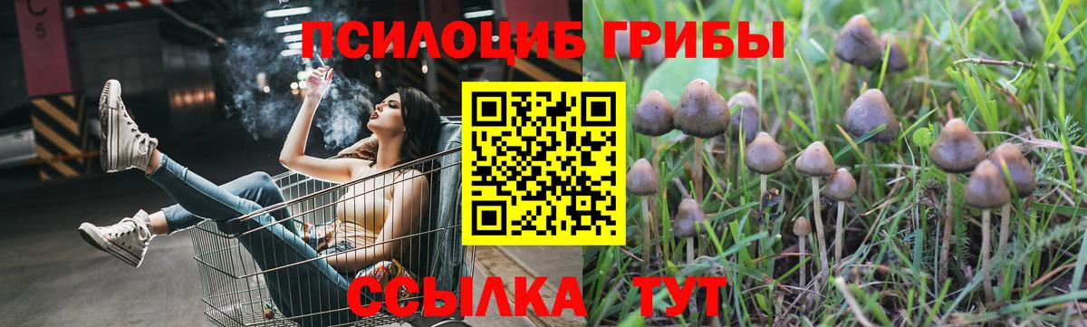Галлюциногенные грибы мицелий Ленинск-Кузнецкий